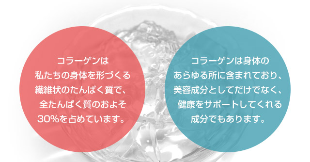 私たちの身体を形づくる繊維状のたんぱく質で、全たんぱく質のおよそ30％を占めています。
身体のあらゆる所に含まれており、美容成分としてだけでなく、健康をサポートしてくれる成分でもあります。