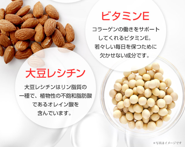 ビタミンE
コラーゲンの働きをサポートしてくれるビタミンE。若々しい毎日を保つために欠かせない成分です。
大豆レシチン
リン脂質の一種で、植物性の不飽和脂肪酸であるオレイン酸を含んでいます。