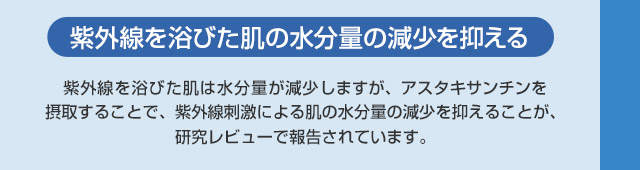 紫外線を浴びた肌の水分量の減少を抑える