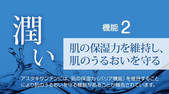 機能2.肌の保湿力を維持し、肌のうるおいを守る