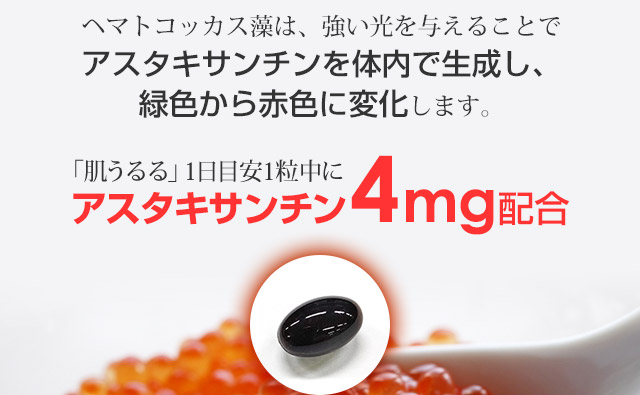 1日目安1粒中に4mg配合