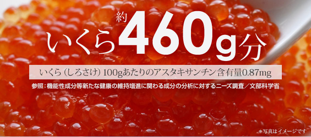 いくら約460g分