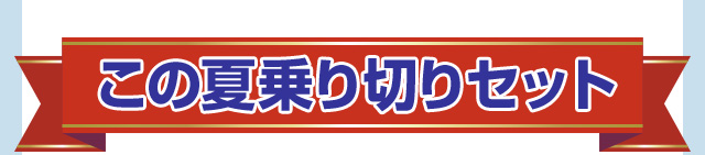 この夏乗り切りセット