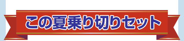 この夏乗り切りセット