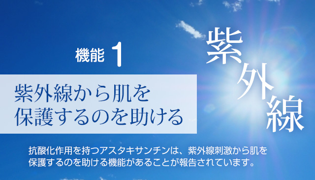 紫外線から肌を保護するのを助ける。抗酸化作用を持つアスタキサンチンは、紫外線刺激から肌を保護するのを助ける機能があることが報告されています。
