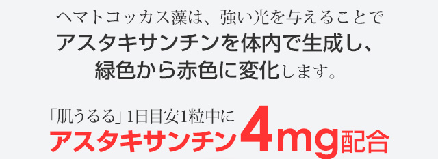 ヘマトコッカス藻は、強い光を与えることでアスタキサンチンを体内で生成し緑色から赤色に変化します。「肌うるる」１日目安1粒中に、アスタキサンチン4㎎配合。